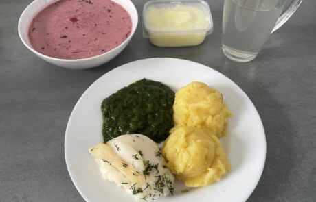 Dieta lekkostrawna